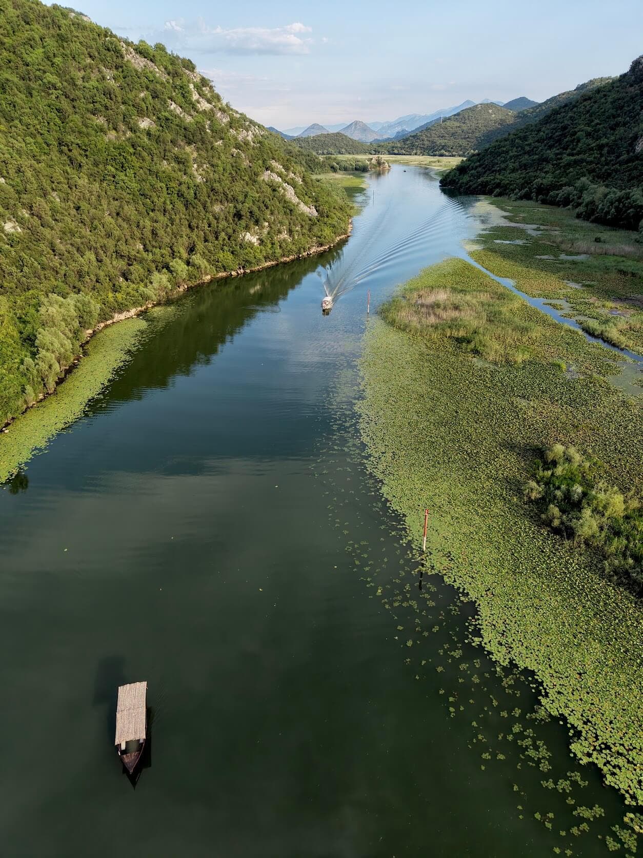 Vue aérienne des zones humides verdoyantes du lac Skadar