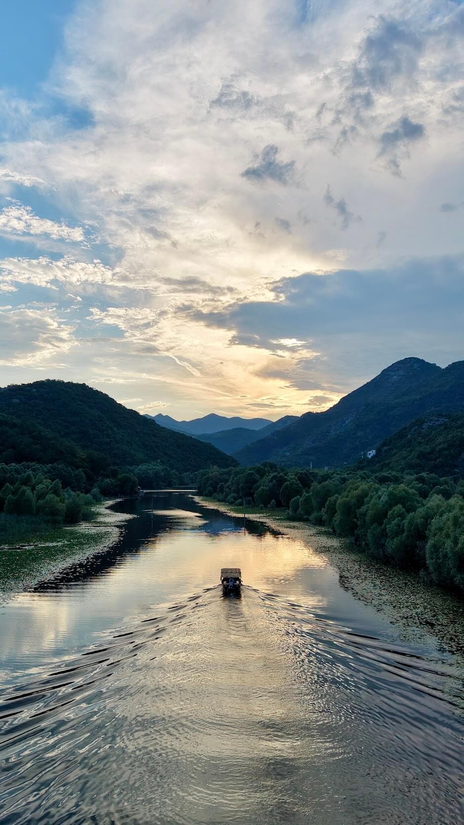 Vue aérienne des roseaux et des canaux du lac Skadar