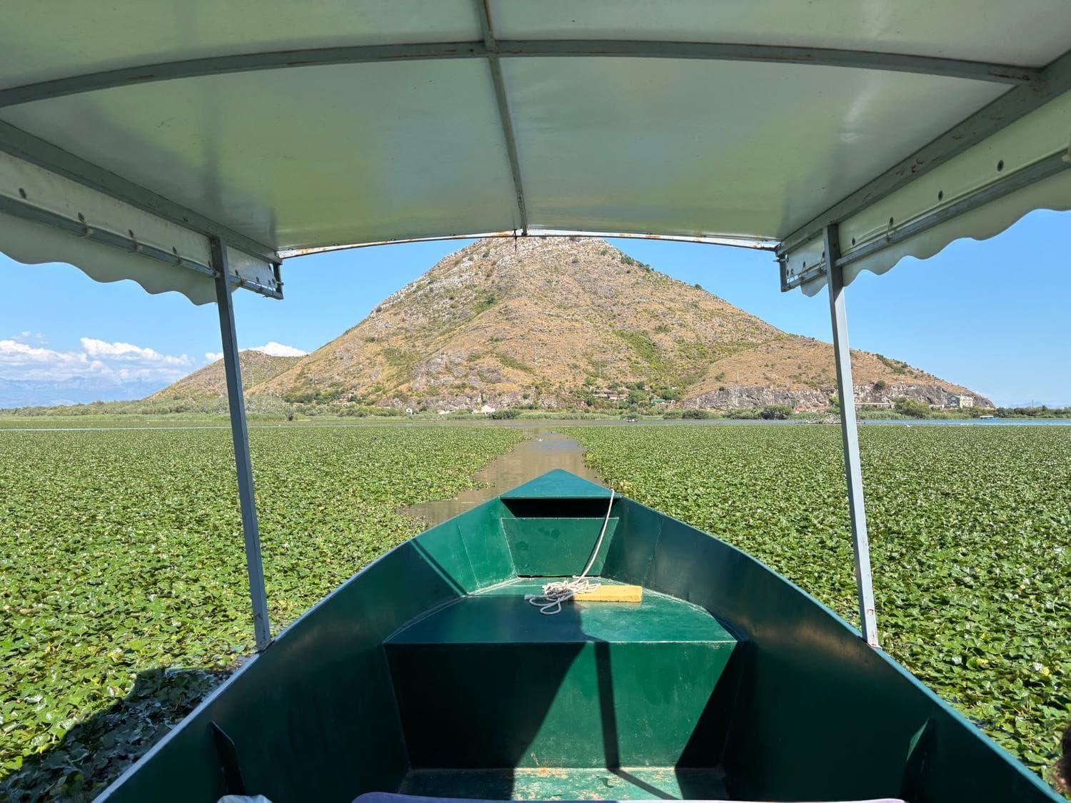 Vue depuis un bateau traditionnel lors d'une excursion sur le lac Skadar
