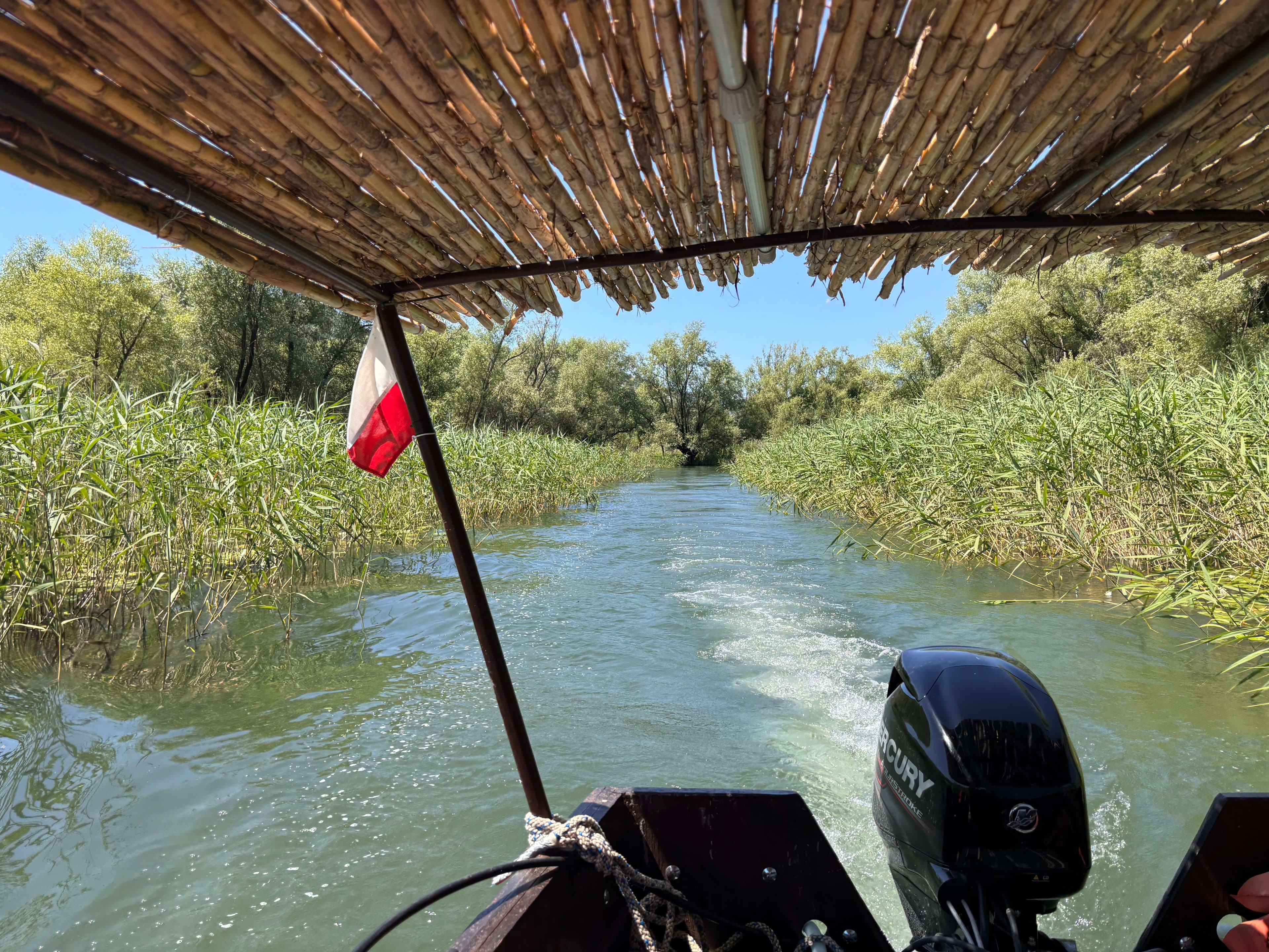 Bateau privé dans un canal étroit bordé de roseaux de la rivière Crnojević, lac Skadar, Monténégro