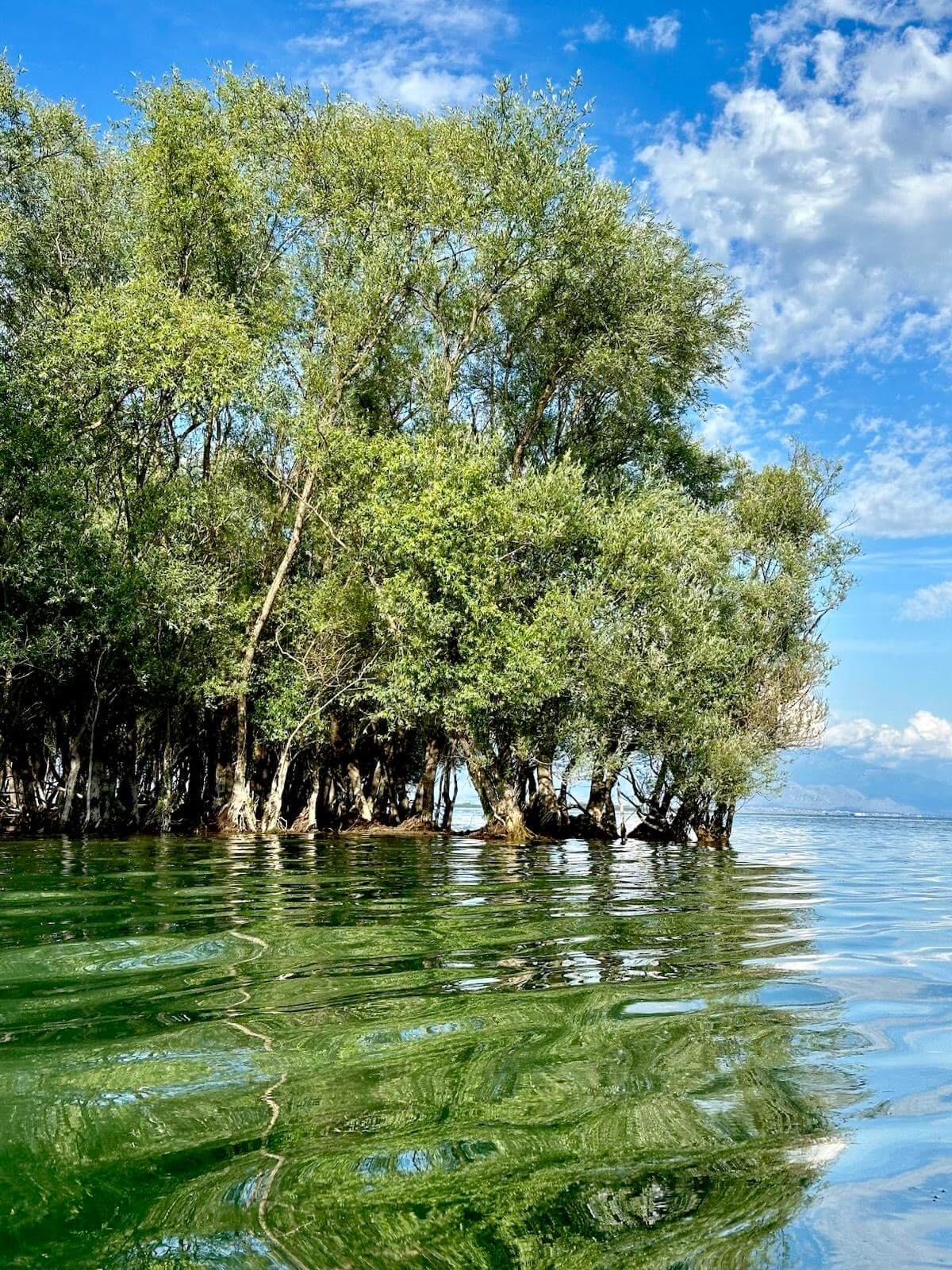 Lieu de baignade à l'eau cristalline dans le village de Dodoši, au bord du lac Skadar