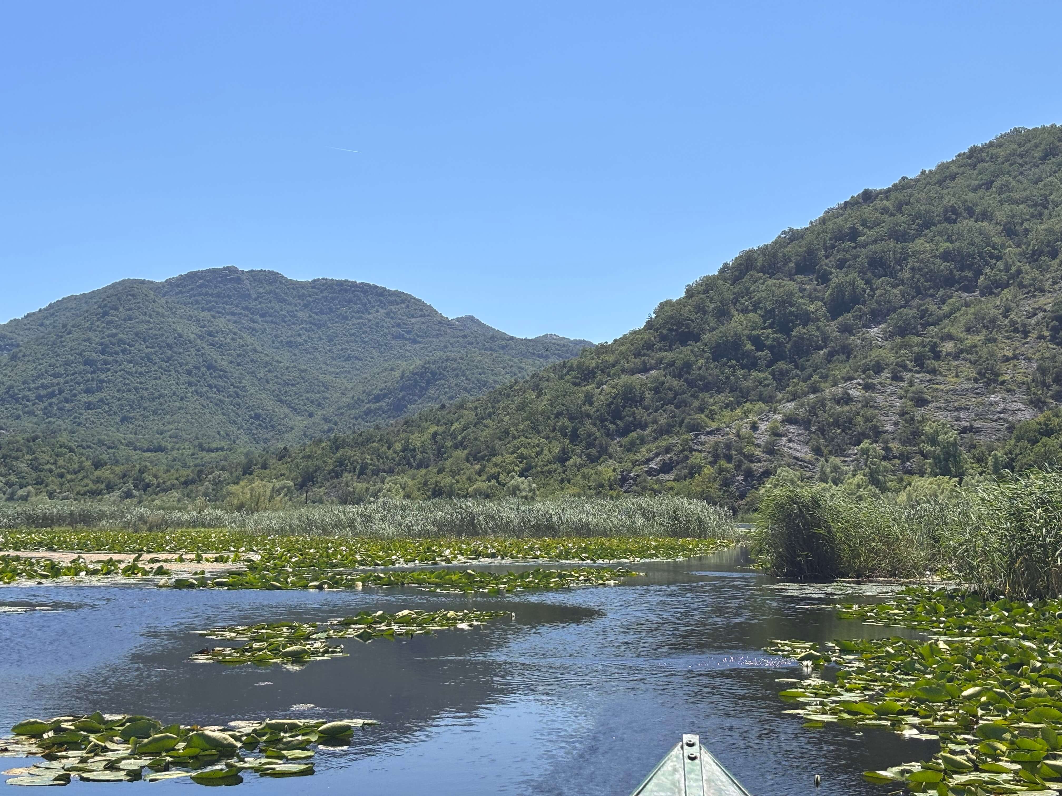 Eaux libres et nénuphars encadrés par les montagnes, lac Skadar, Monténégro